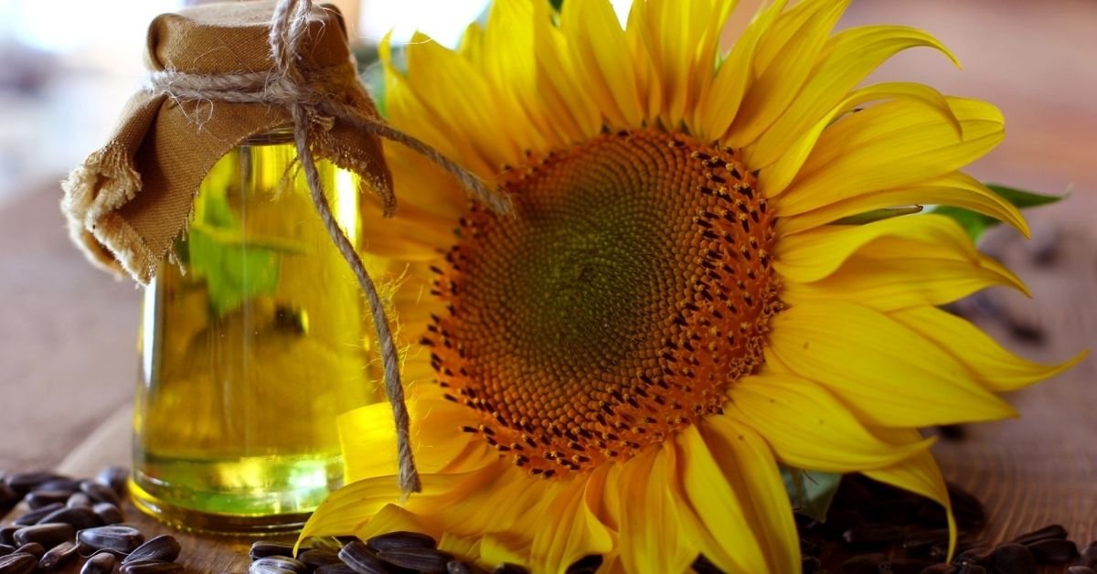 Russia-Ukraine war may squeeze edible oil supply