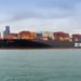 ZIM deploys artificial intelligence to root out misdeclared cargoes
